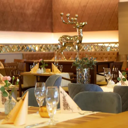Falk Seehotel Plau Am Hotel