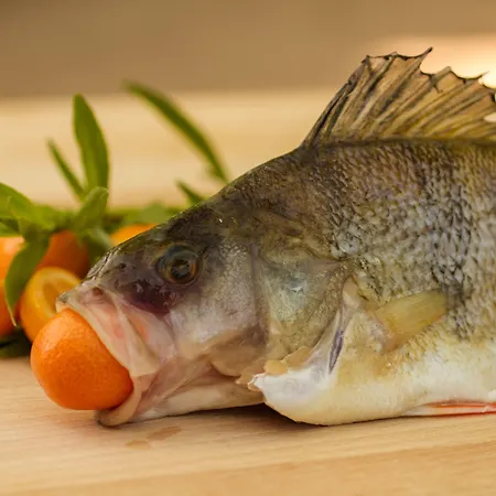 Ξενοδοχείο Falk Seehotel Plau Am Plau am See