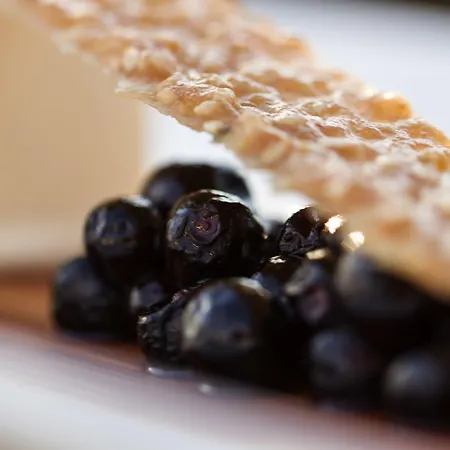 Falk Seehotel Plau Am