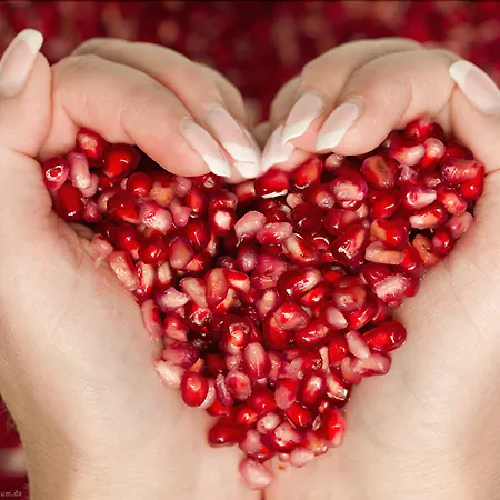 Falk Seehotel Plau Am Ξενοδοχείο Plau am See