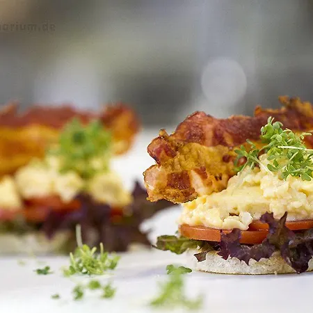 Falk Seehotel Plau Am 4* Plau am See