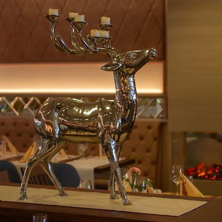 Falk Seehotel Plau Am