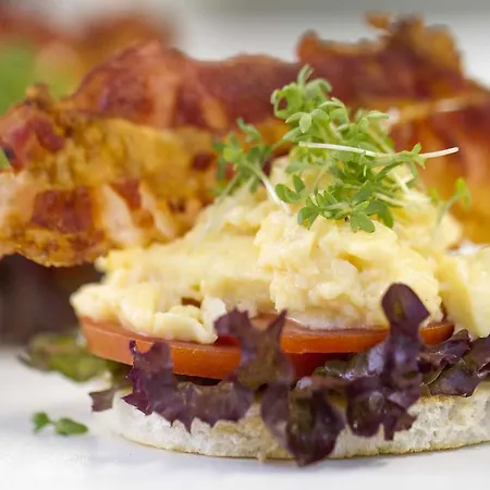 Falk Seehotel Plau Am